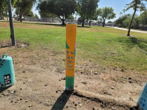 Soccer Field image 1