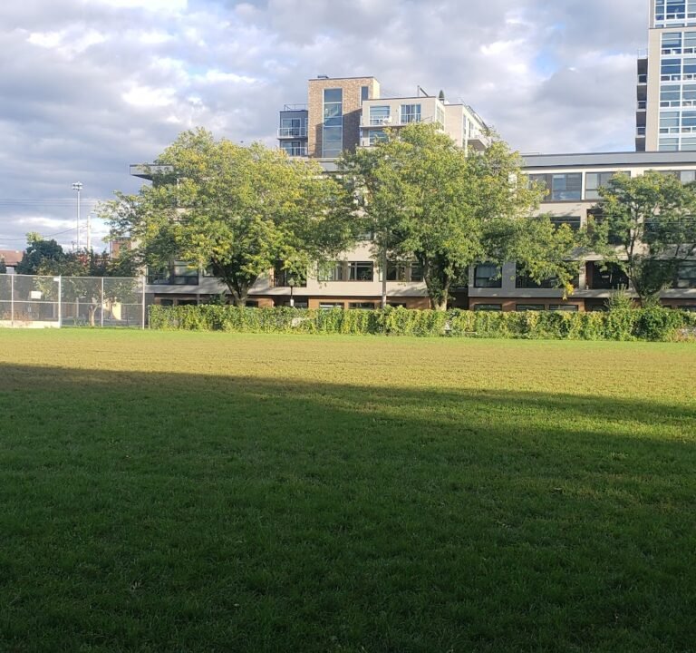 Soccer Field image 2