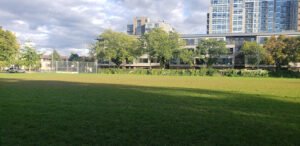 Soccer Field image 1