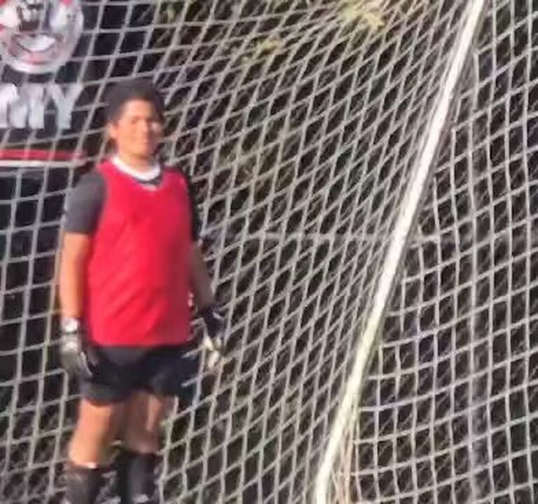 Soccer Field image 2