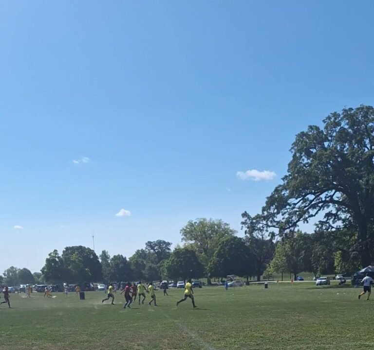 Soccer Field image 4