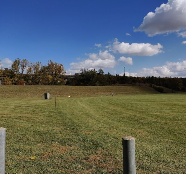 Soccer Field image 2