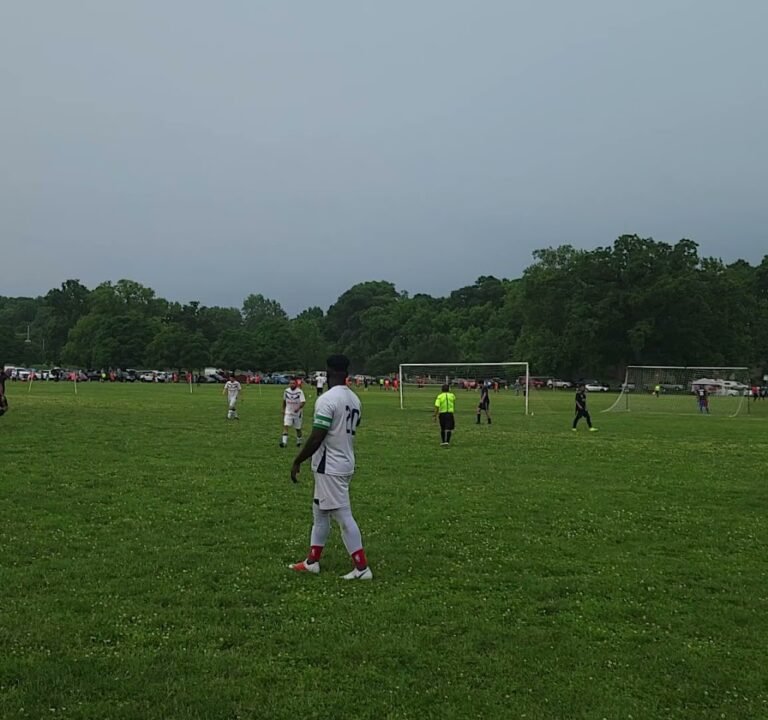 Soccer Field image 3