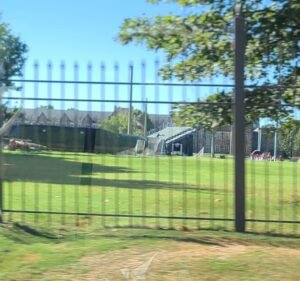 Soccer Field image 2