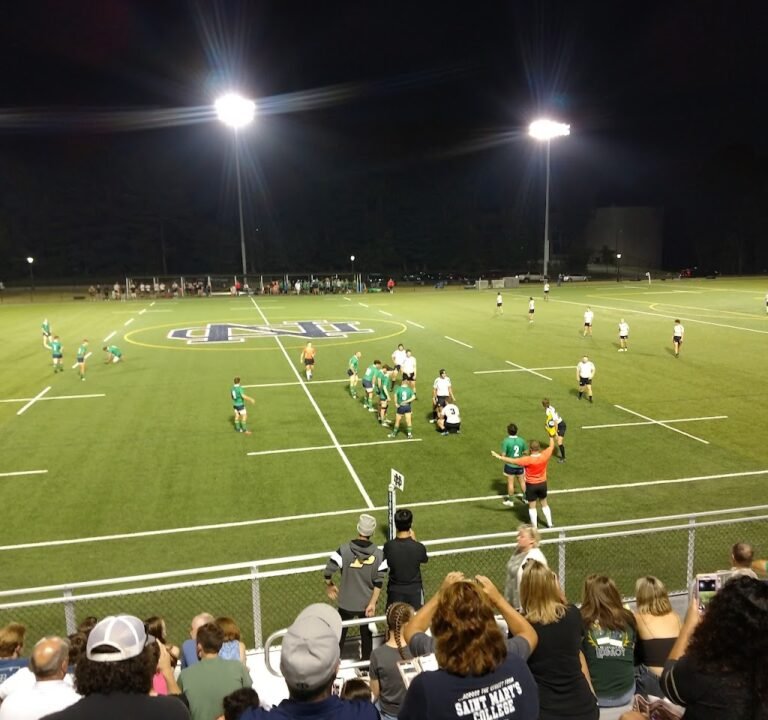 Soccer Field image 2