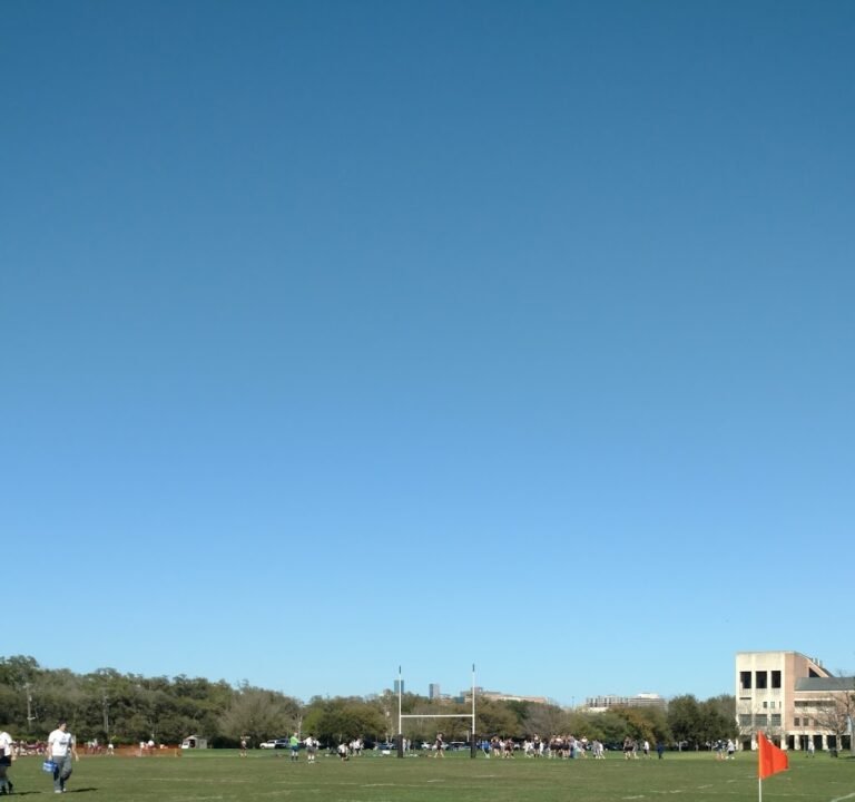 Soccer Field image 2