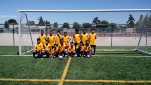 Soccer Field image 1