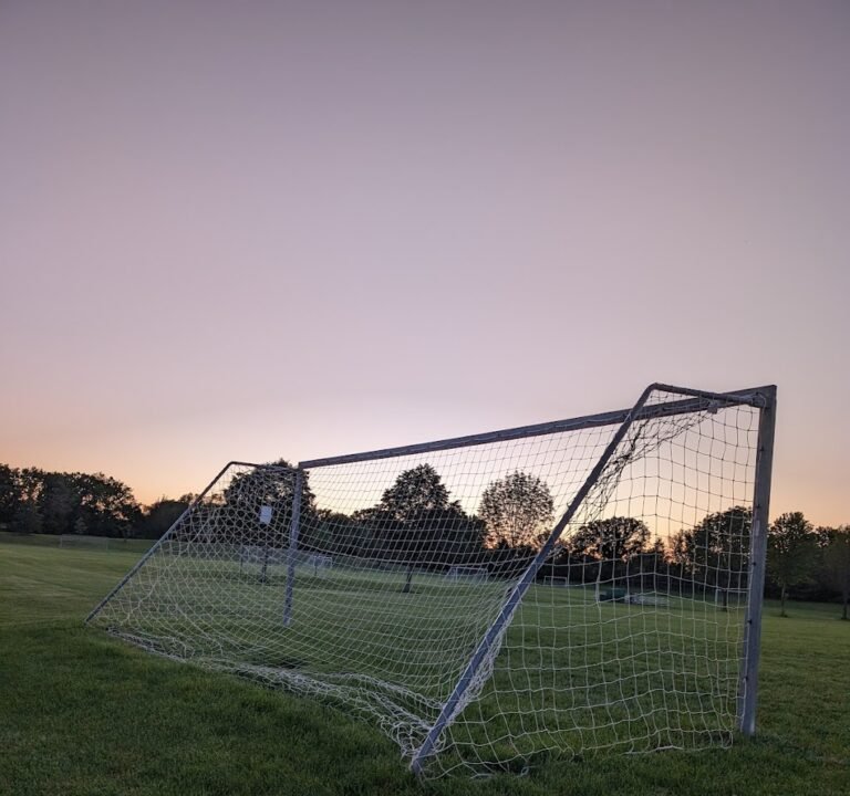 Soccer Field image 3
