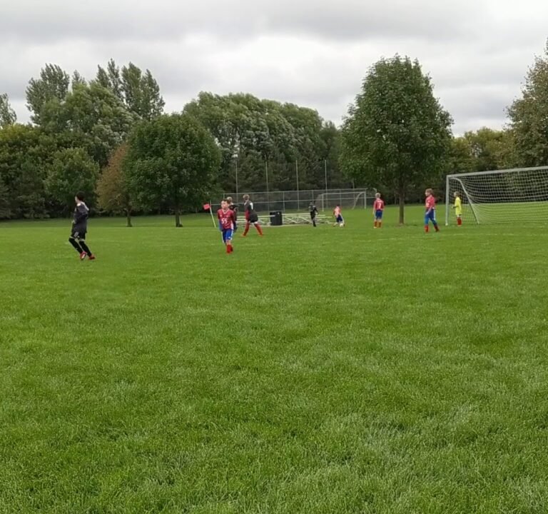 Soccer Field image 2