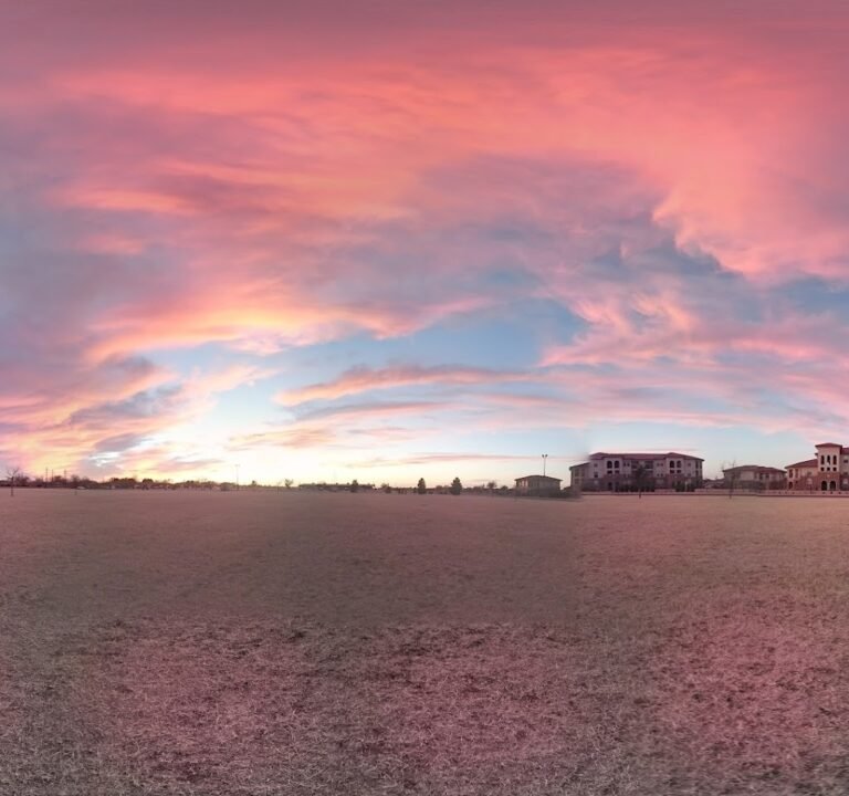 Soccer Field image 3