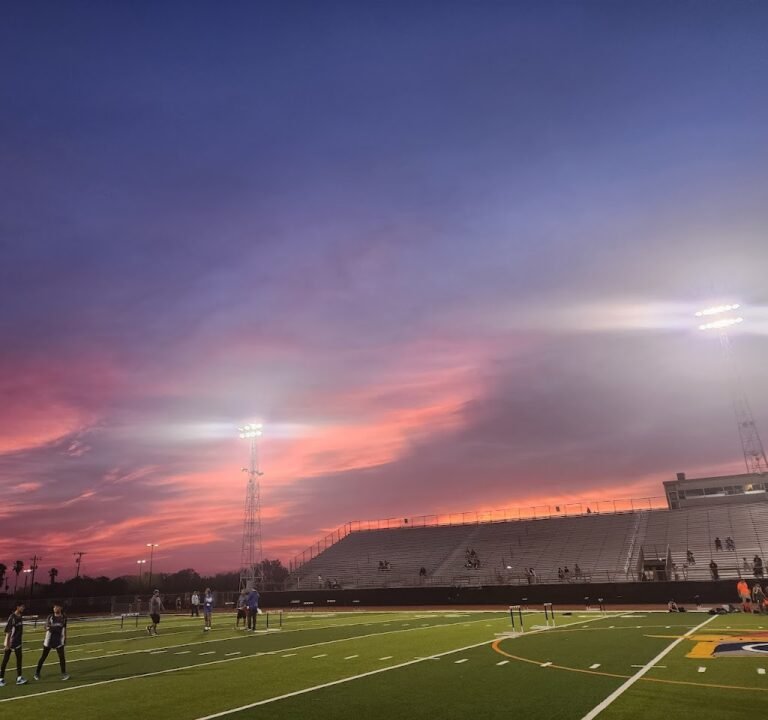 Soccer Field image 2