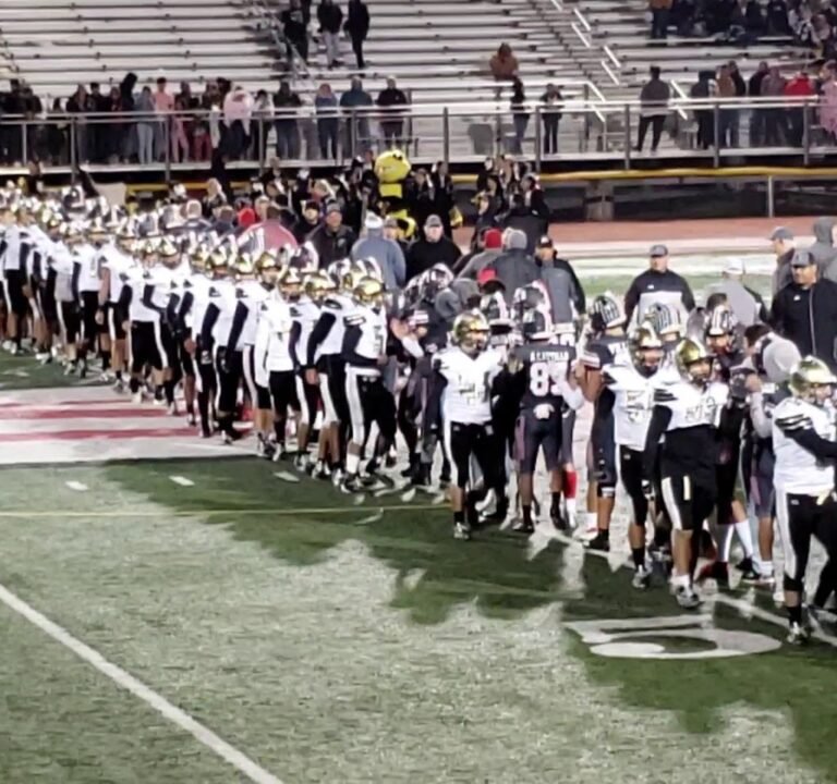 Soccer Field image 3