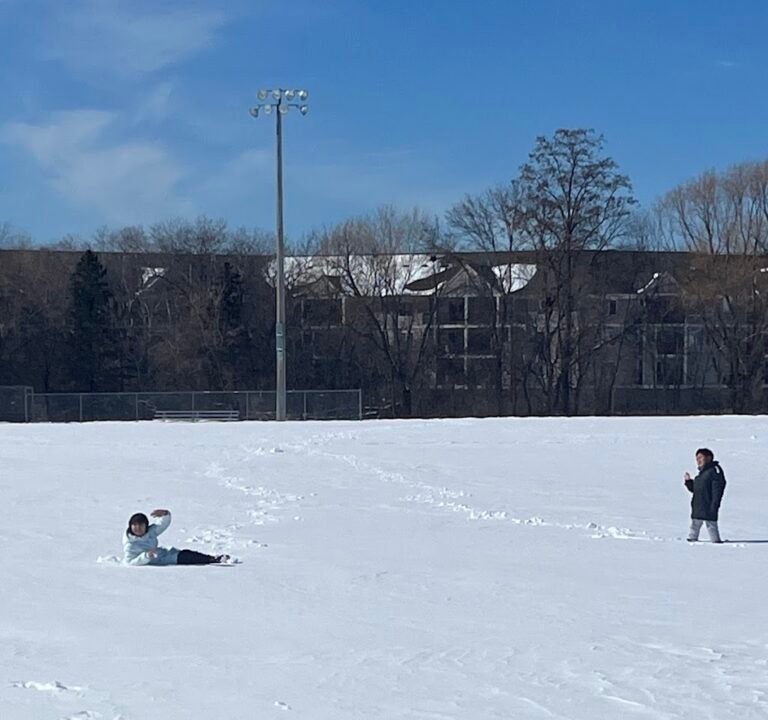 Soccer Field image 3