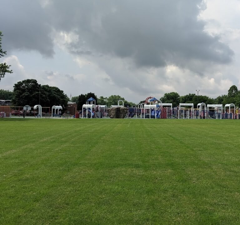 Soccer Field image 2