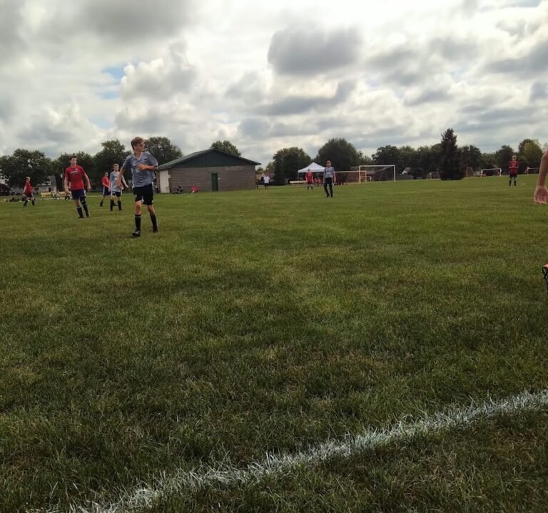 Soccer Field image 3