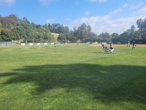 Soccer Field image 1