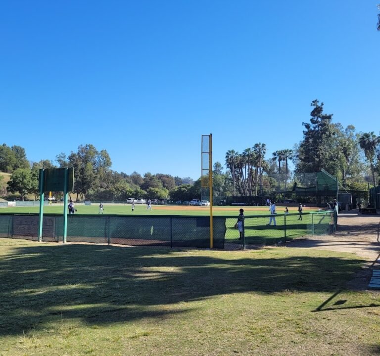 Soccer Field image 2