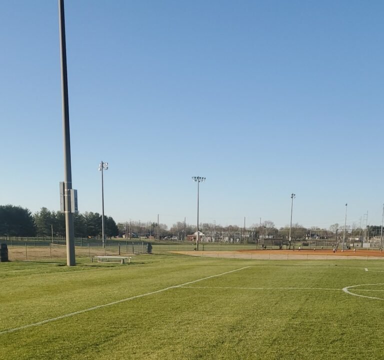 Soccer Field image 2
