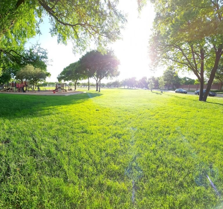 Soccer Field image 3