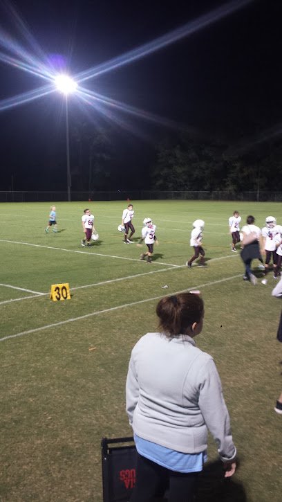 Soccer Field image 1