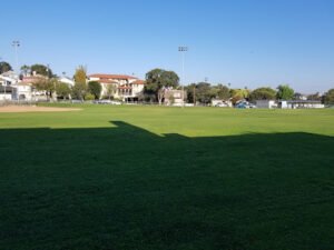 Soccer Field image 1