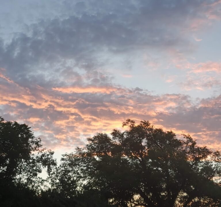 Soccer Field image 2