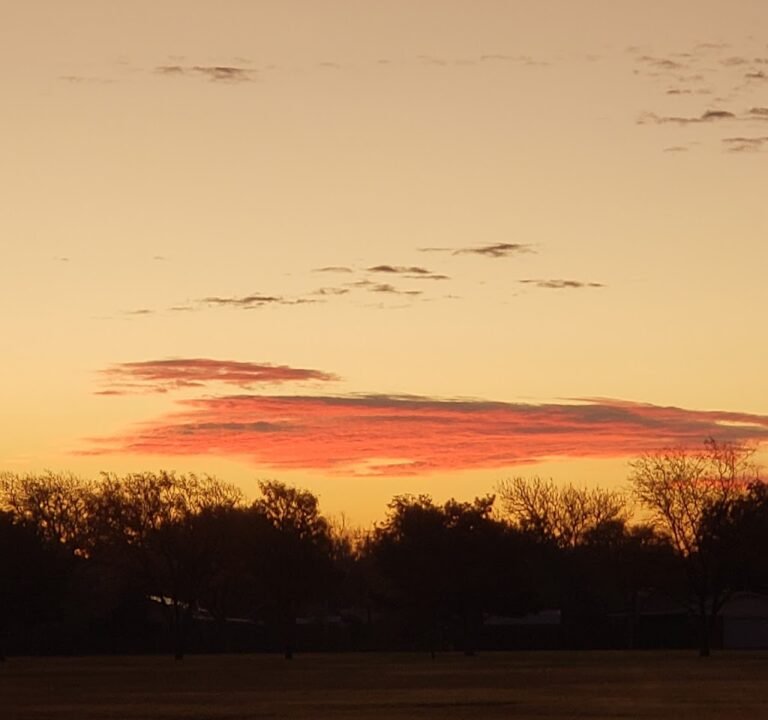 Soccer Field image 3