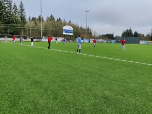 Soccer Field image 1