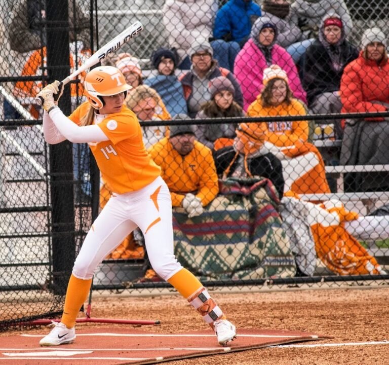 Soccer Field image 2