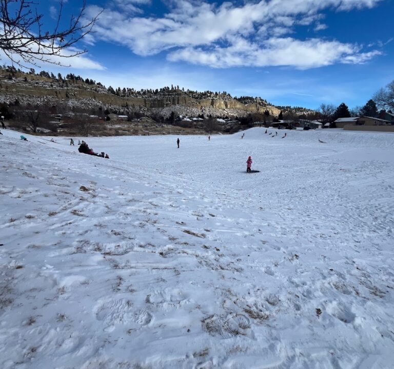 Soccer Field image 2