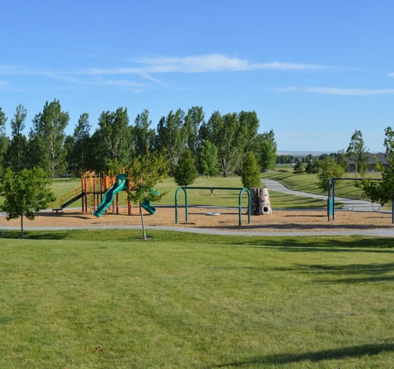 Soccer Field image 2