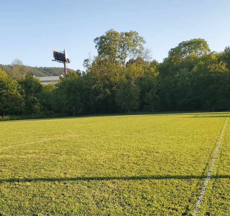 Soccer Field image 2