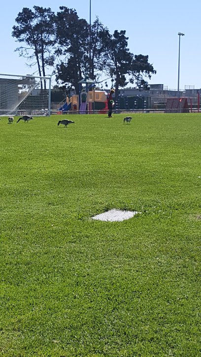 Soccer Field image 1