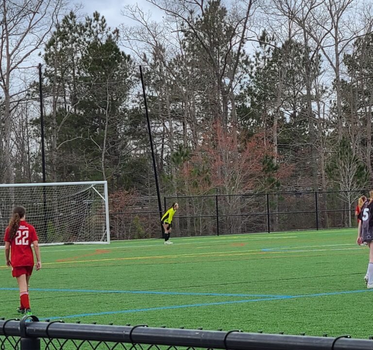 Soccer Field image 2