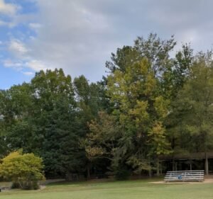 Soccer Field image 2