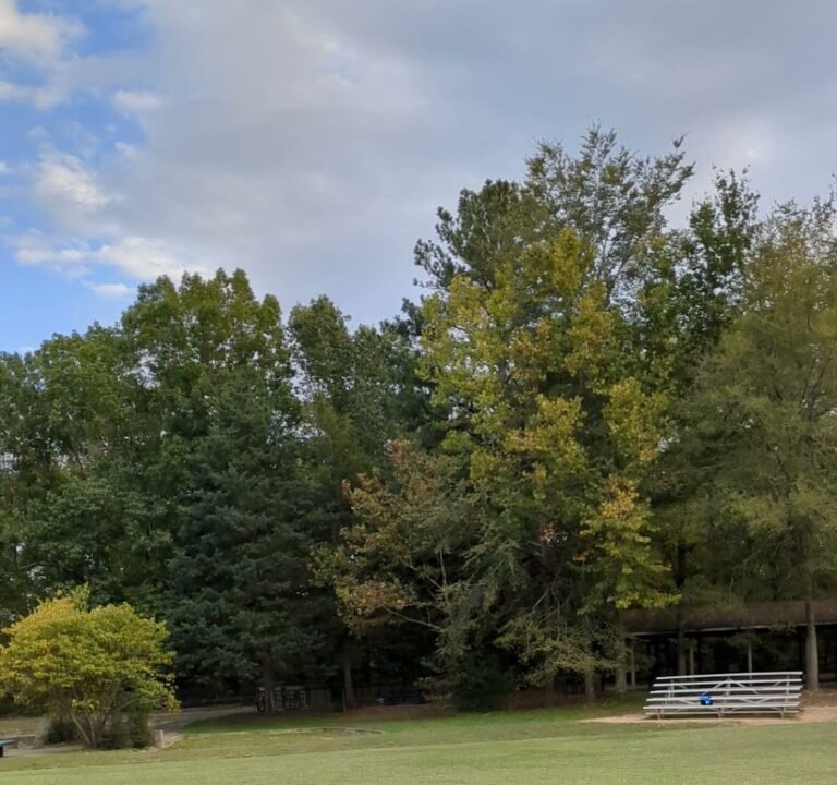 Soccer Field image 2