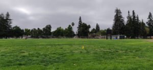 Soccer Field image 1