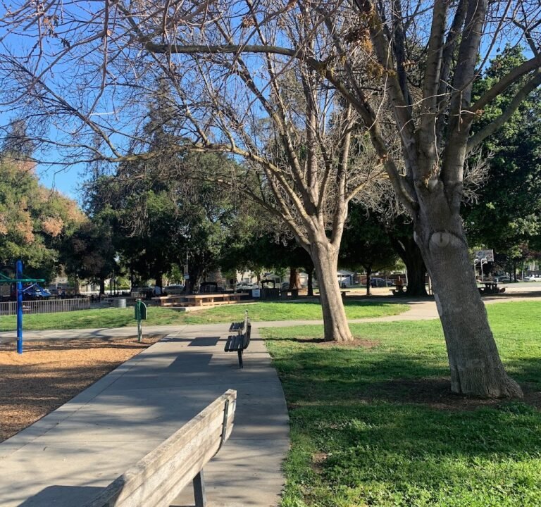 Soccer Field image 2