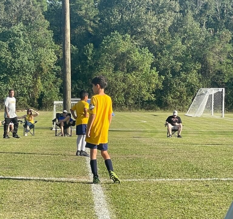 Soccer Field image 2