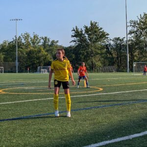 Soccer Field image 1