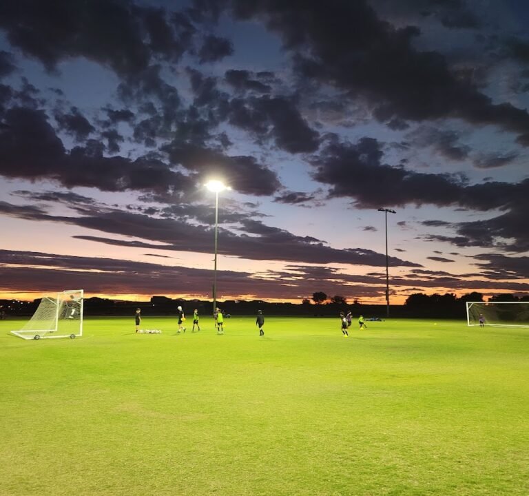 Soccer Field image 2