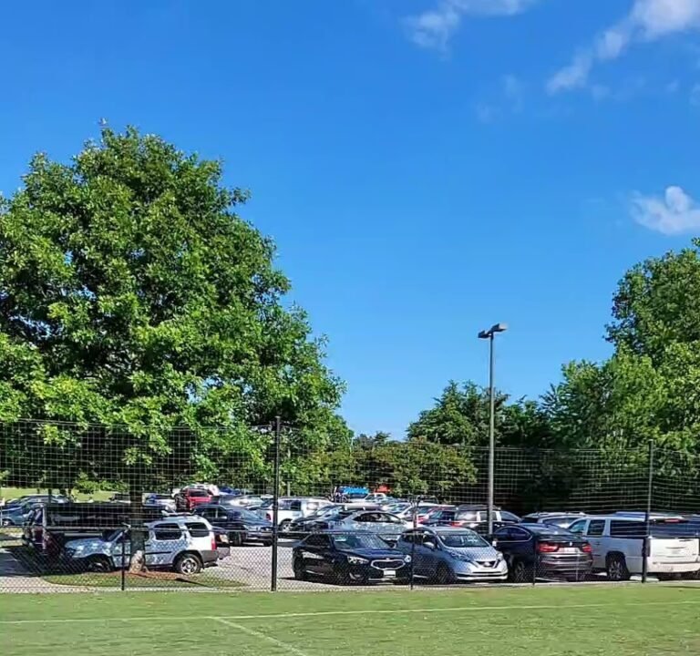 Soccer Field image 4