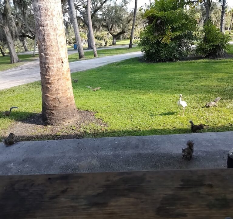 Soccer Field image 2