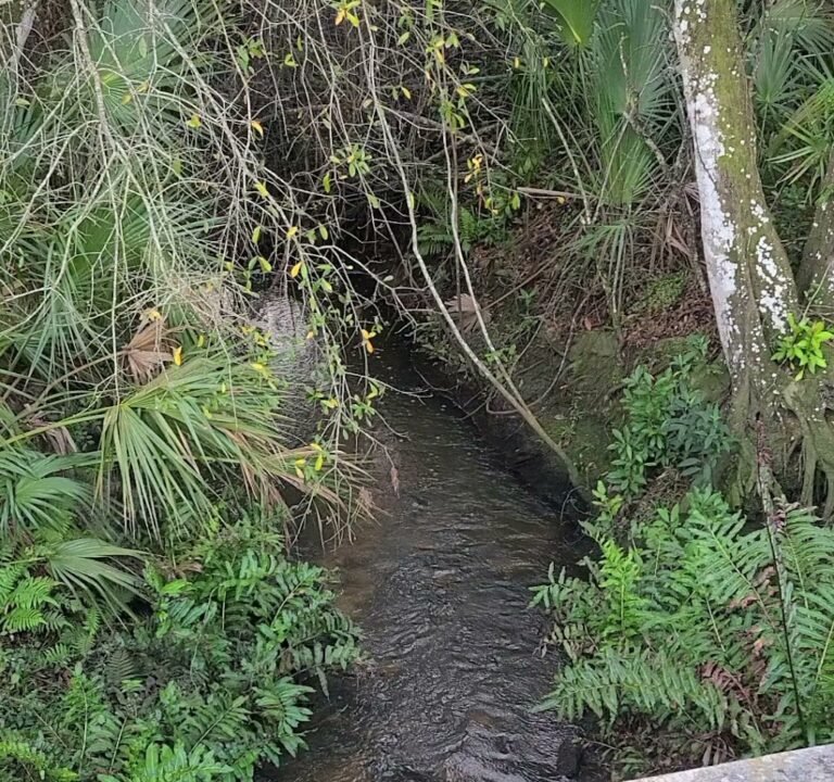 Soccer Field image 3