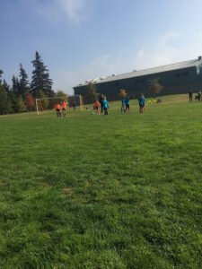 Soccer Field image 1