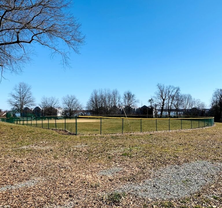 Soccer Field image 2