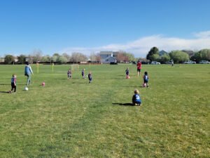 Soccer Field image 1