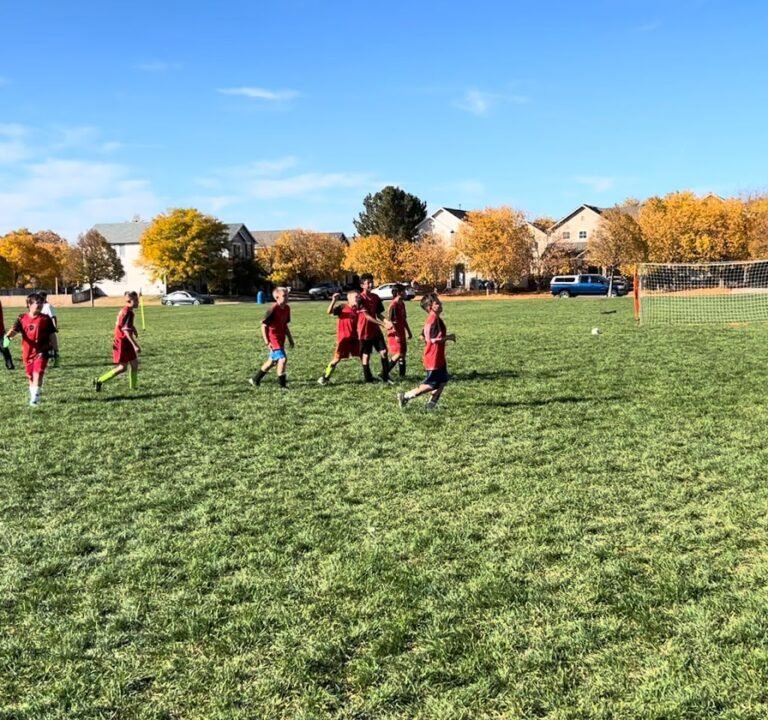 Soccer Field image 4