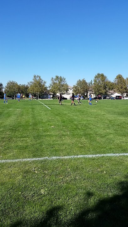 Soccer Field image 1