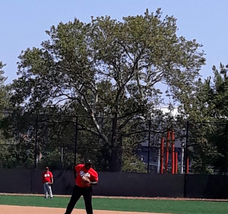 Soccer Field image 2